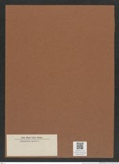 Diatomeae indet. Zeichnungen Sammlung Grunow Mappe 04042 (Herbarium_W_Grunow_drawings_Folder_04042)